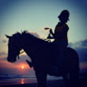 Meet your Posher, Metsihate